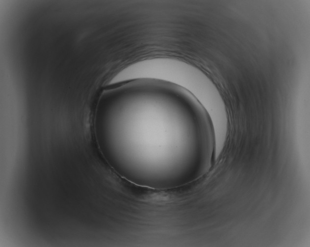 X0000103170423200808291514