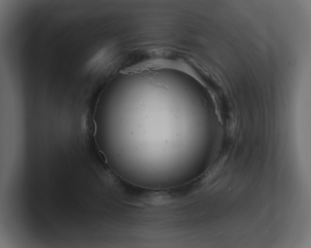 X0000103170424200808291514