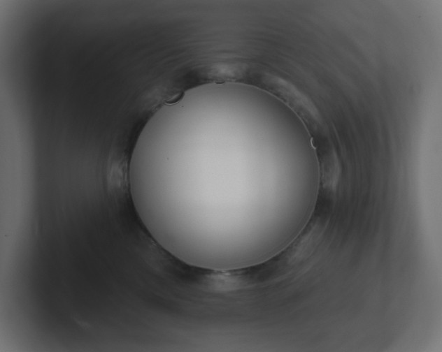 X0000103170425200808291514