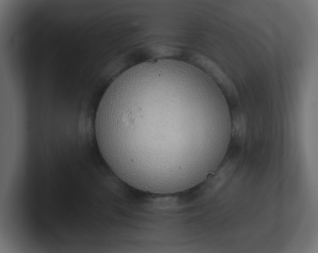 X0000103170426200808291514