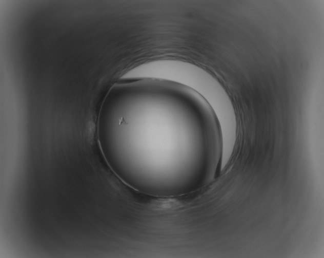 X0000103170427200808291514