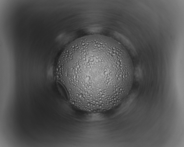 X0000103170428200808291514