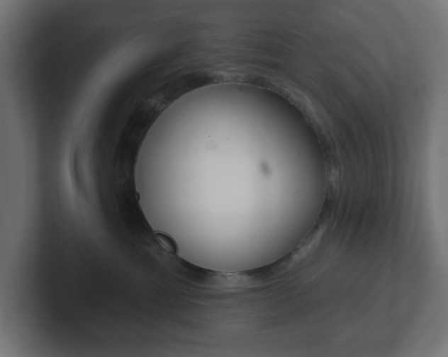 X0000103170429200808291514