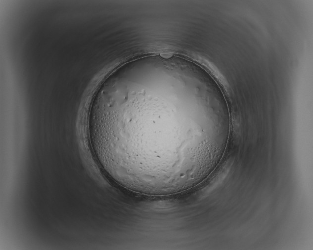 X0000103170433200808291513