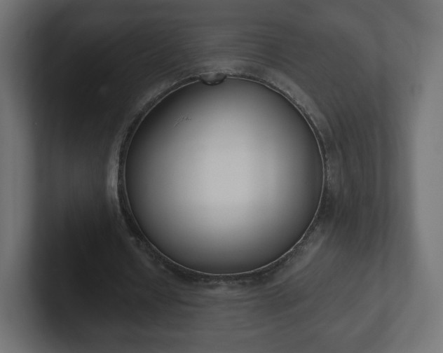 X0000103170434200808291513