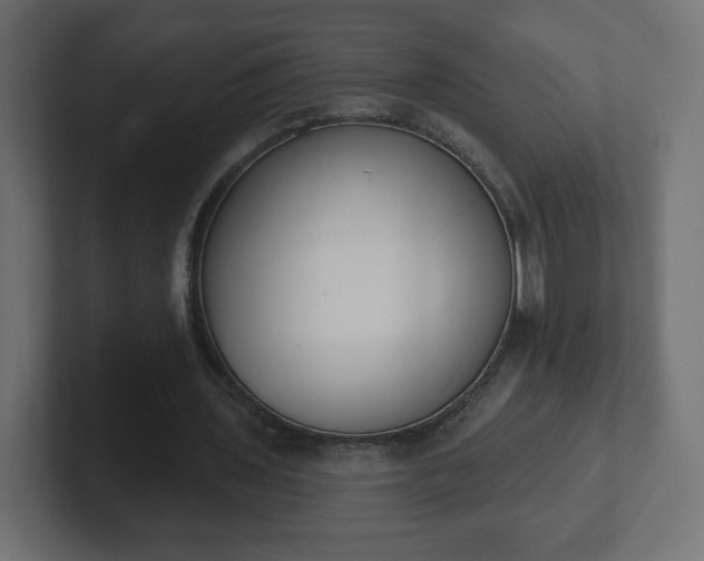 X0000103170435200808291513