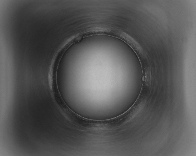 X0000103170436200808291513