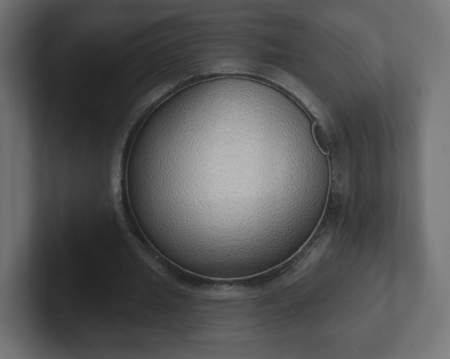 X0000103170437200808291513