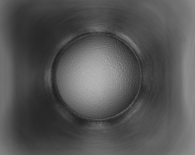 X0000103170439200808291513