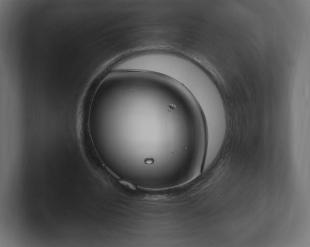 X0000103170440200808291513