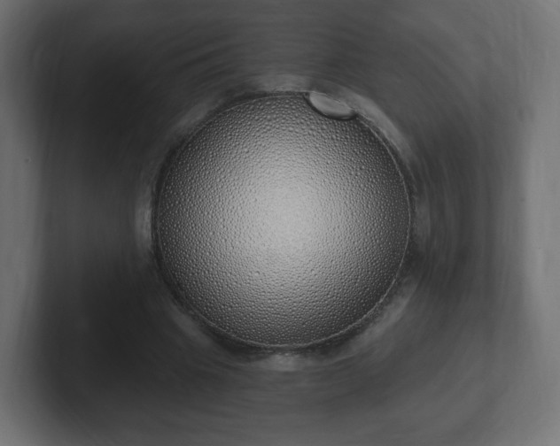 X0000103170441200808291513