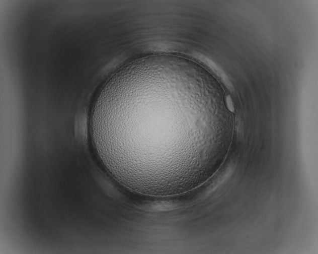 X0000103170445200808291513