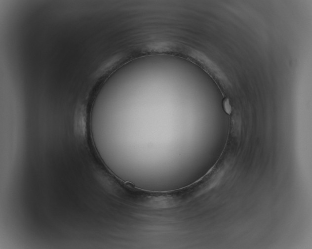 X0000103170446200808291513