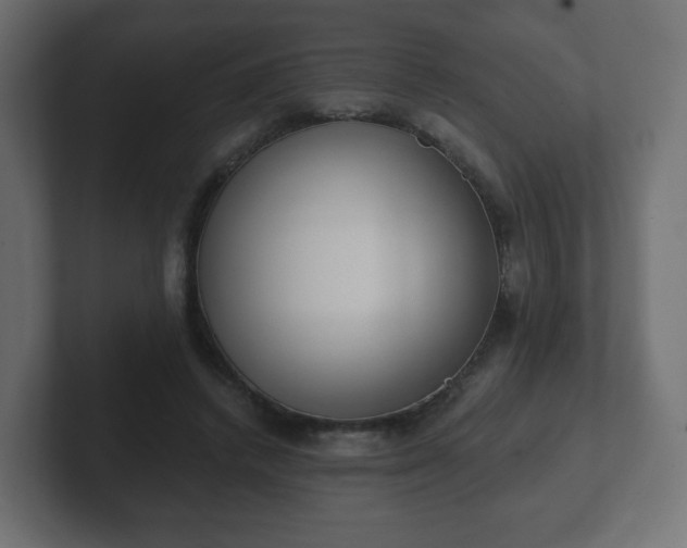 X0000103170448200808291513