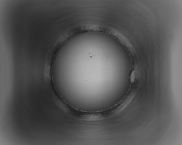 X0000103170449200808291513