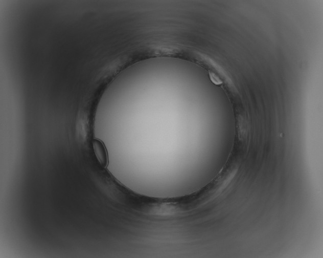 X0000103170451200808291513