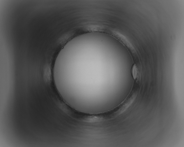 X0000103170453200808291513