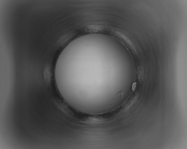 X0000103170455200808291513