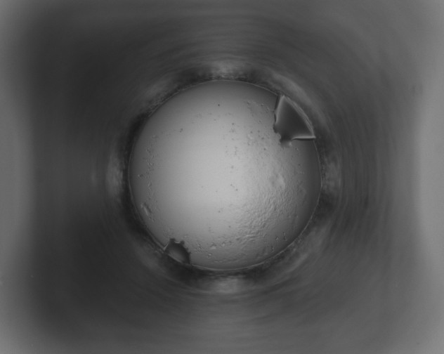 X0000103170456200808291513