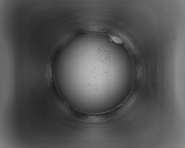 X0000103170457200808291513