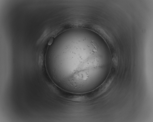 X0000103170458200808291513