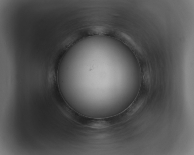 X0000103170459200808291513