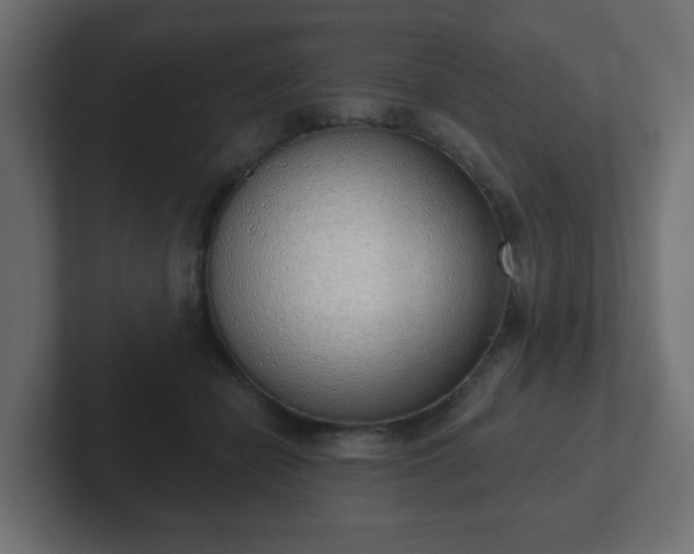 X0000103170462200808291513