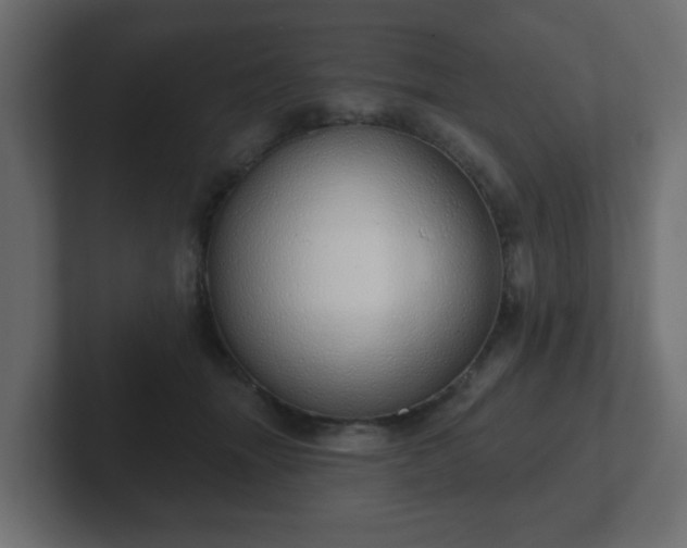 X0000103170463200808291514