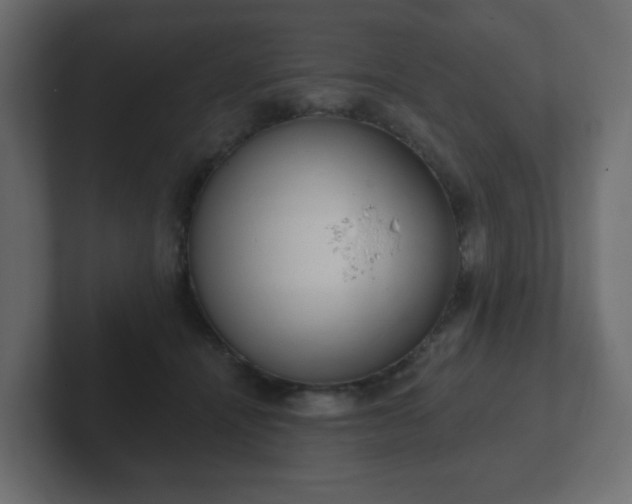 X0000103170464200808291514