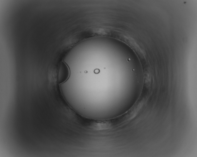 X0000103170466200808291514