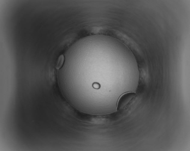 X0000103170470200808291514