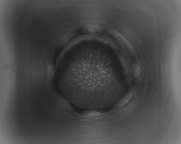 X0000103170471200808291514