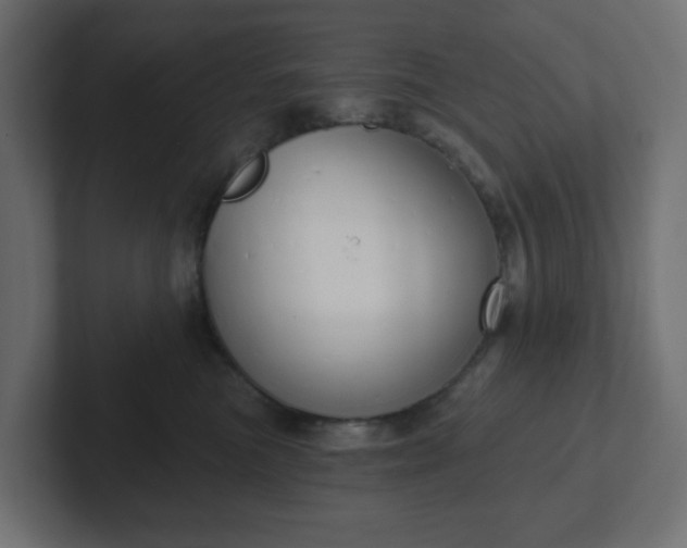 X0000103170473200808291514