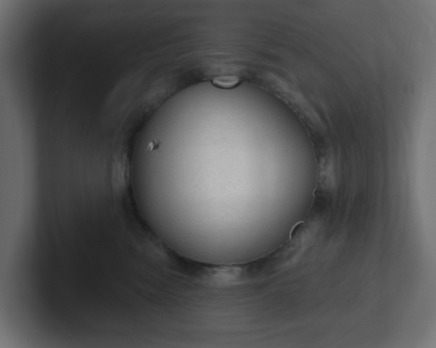 X0000103170474200808291514