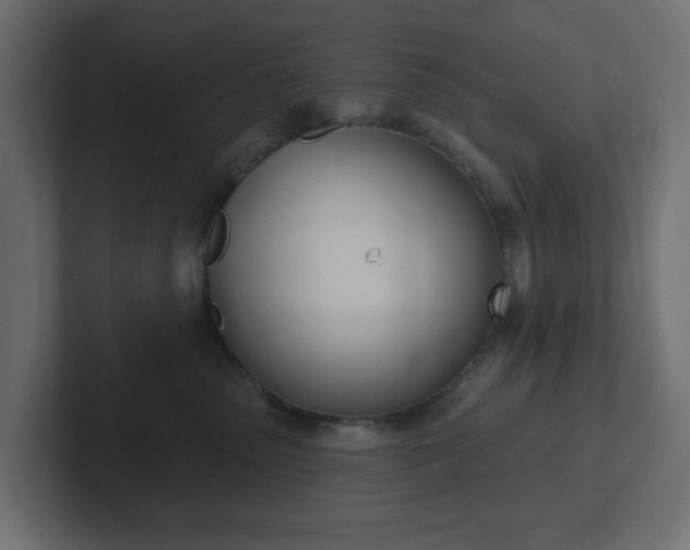 X0000103170475200808291514