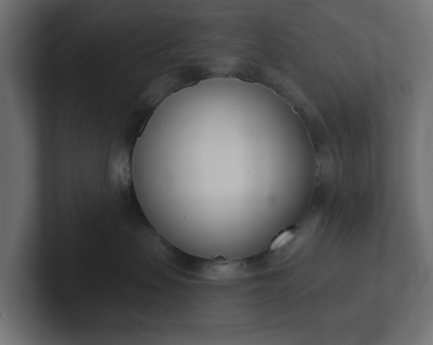 X0000103170479200808291514