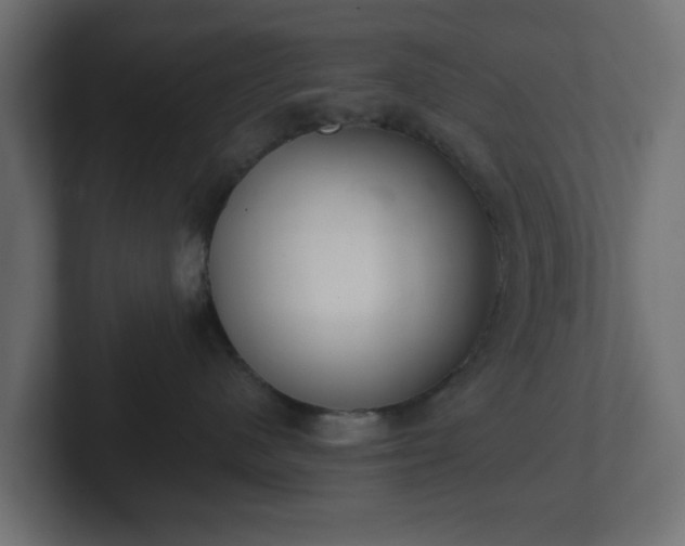 X0000103170480200808291514