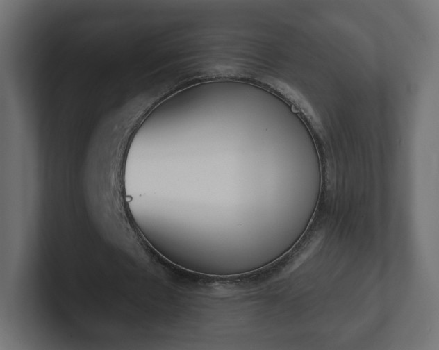 X0000103170481200808291513