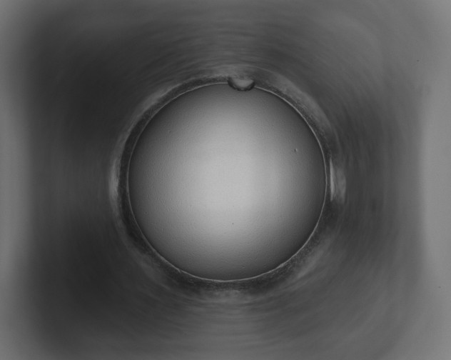 X0000103170483200808291513