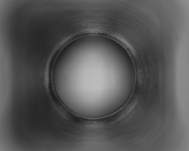 X0000103170486200808291513