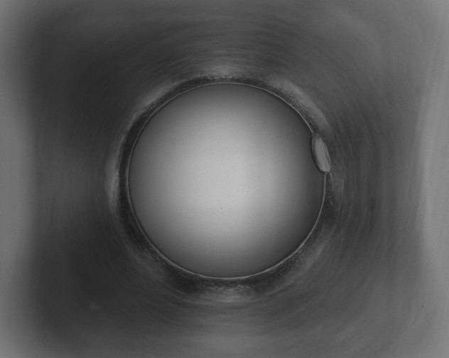 X0000103170488200808291513