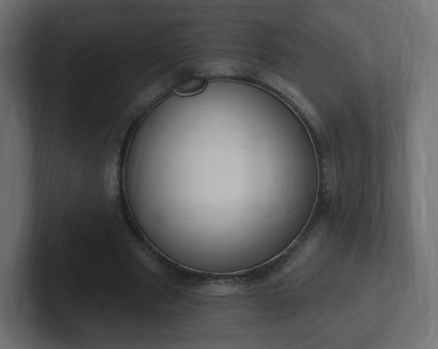 X0000103170489200808291513