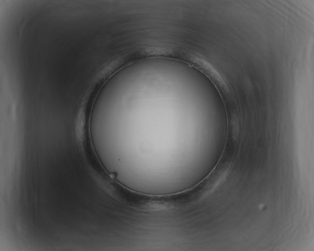 X0000103170490200808291513