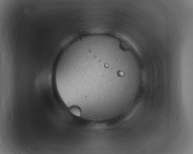 X0000103170491200808291513