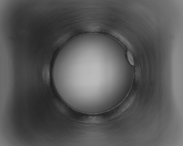 X0000103170493200808291513