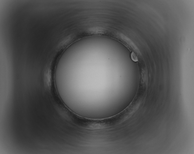 X0000103170494200808291513