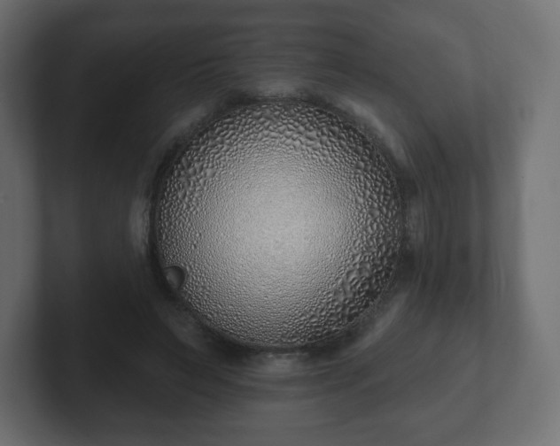 X0000103170495200808291513