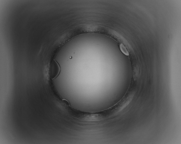 X0000103170497200808291513