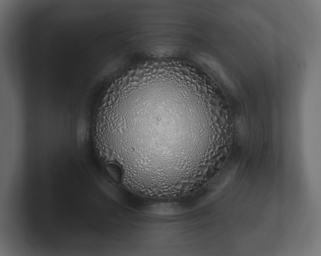 X0000103170499200808291513