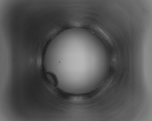 X0000103170500200808291513